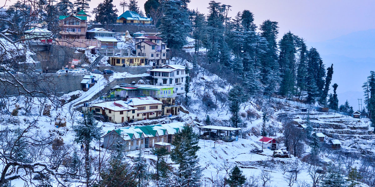 Shimla Tour